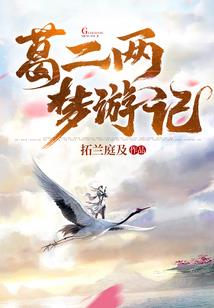 武晓