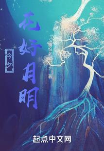 异界之龙腾穹宇