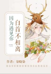 娇妻入怀：捡个老公带回家