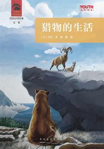 星光熠熠拯救小马国