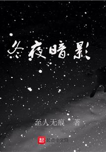 二次元入侵